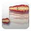 Melodyne icon